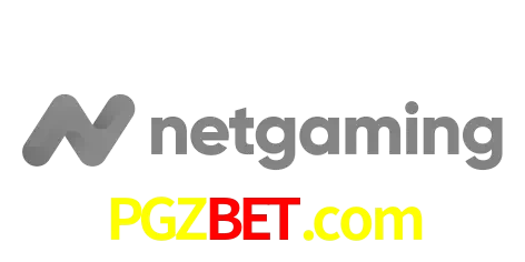 NetGaming